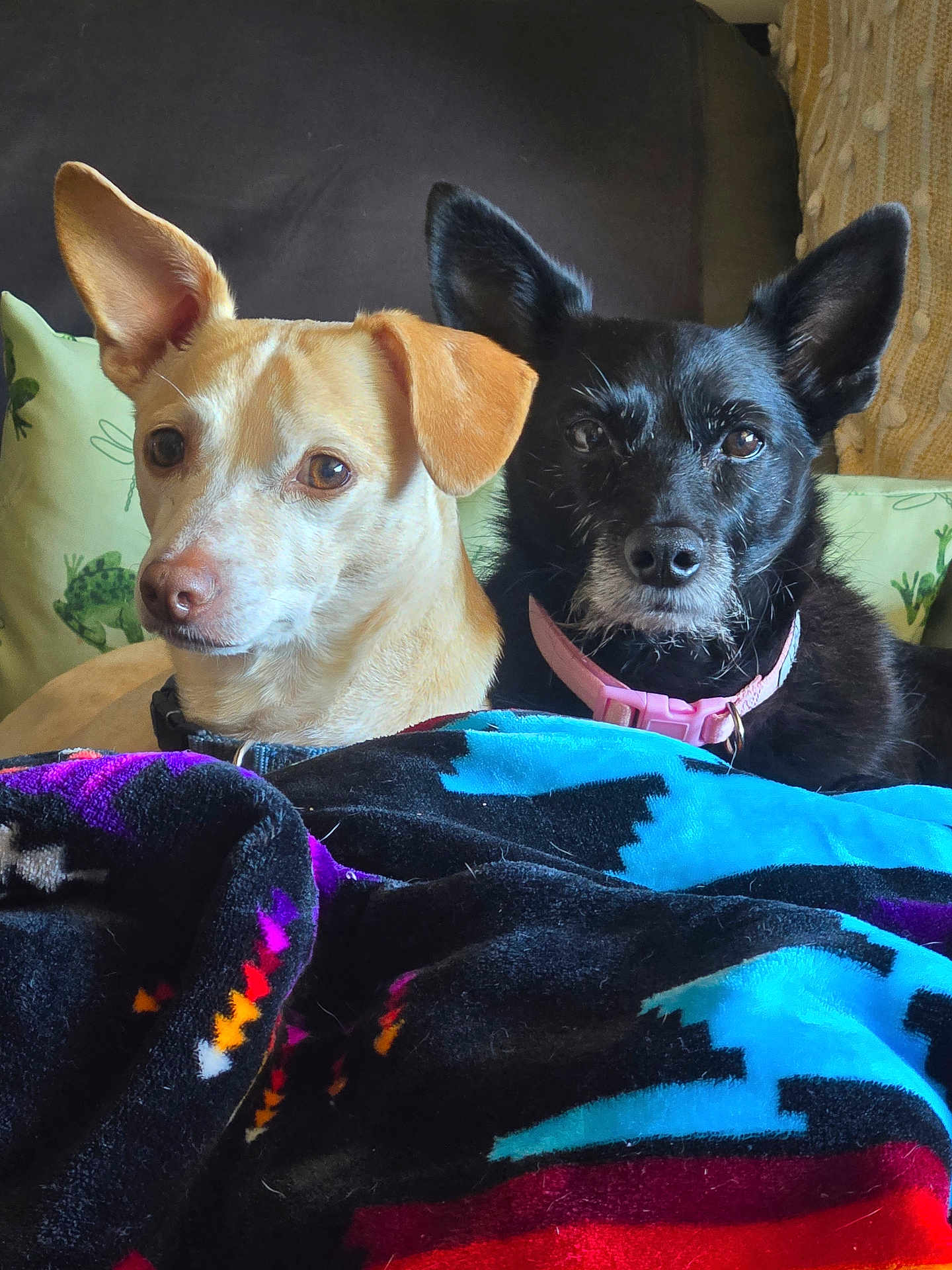 Fredo And Betty