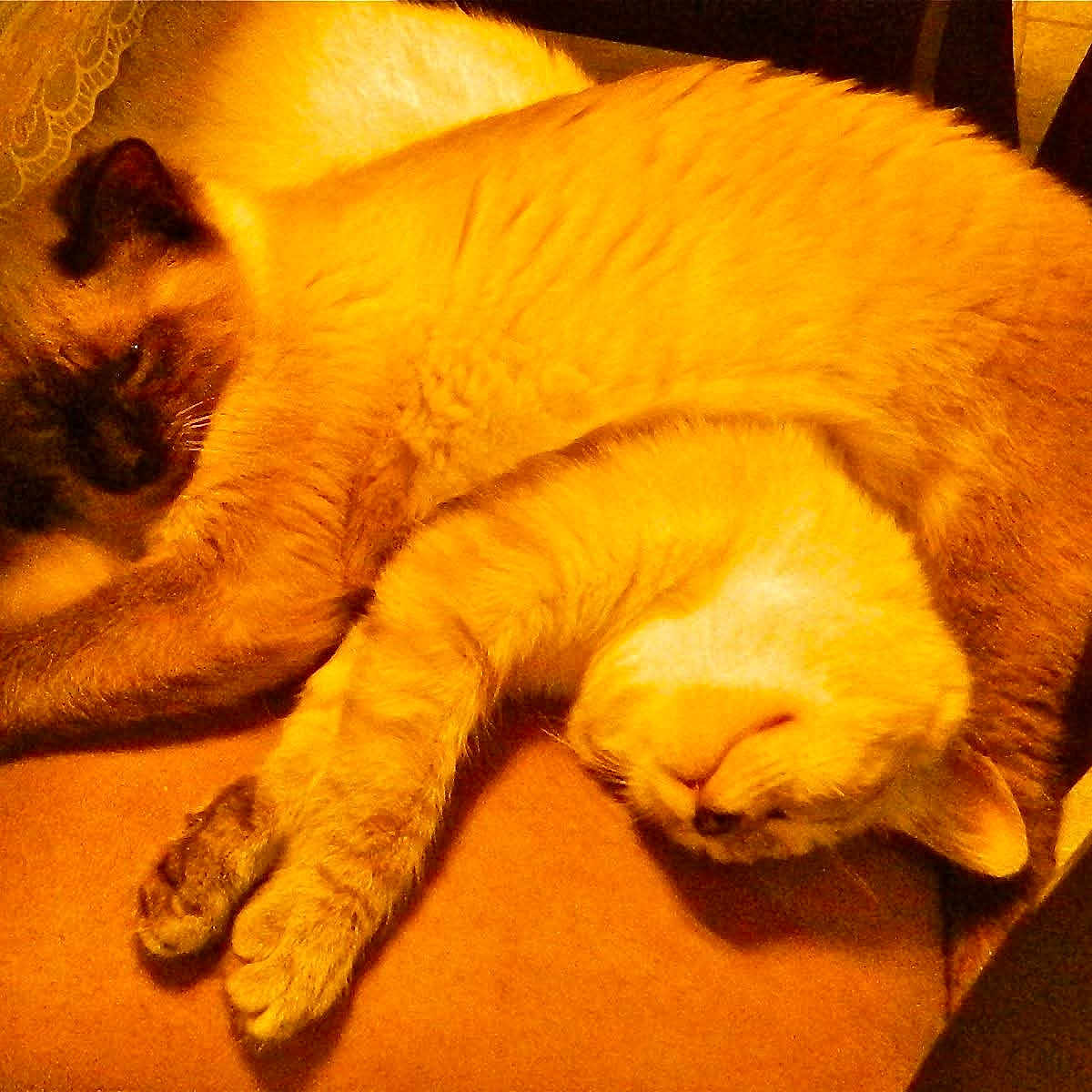 Sugar And Spice