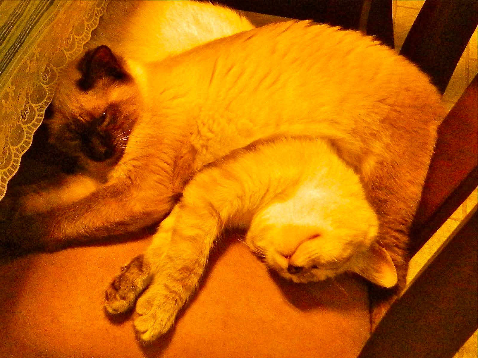 Sugar And Spice
