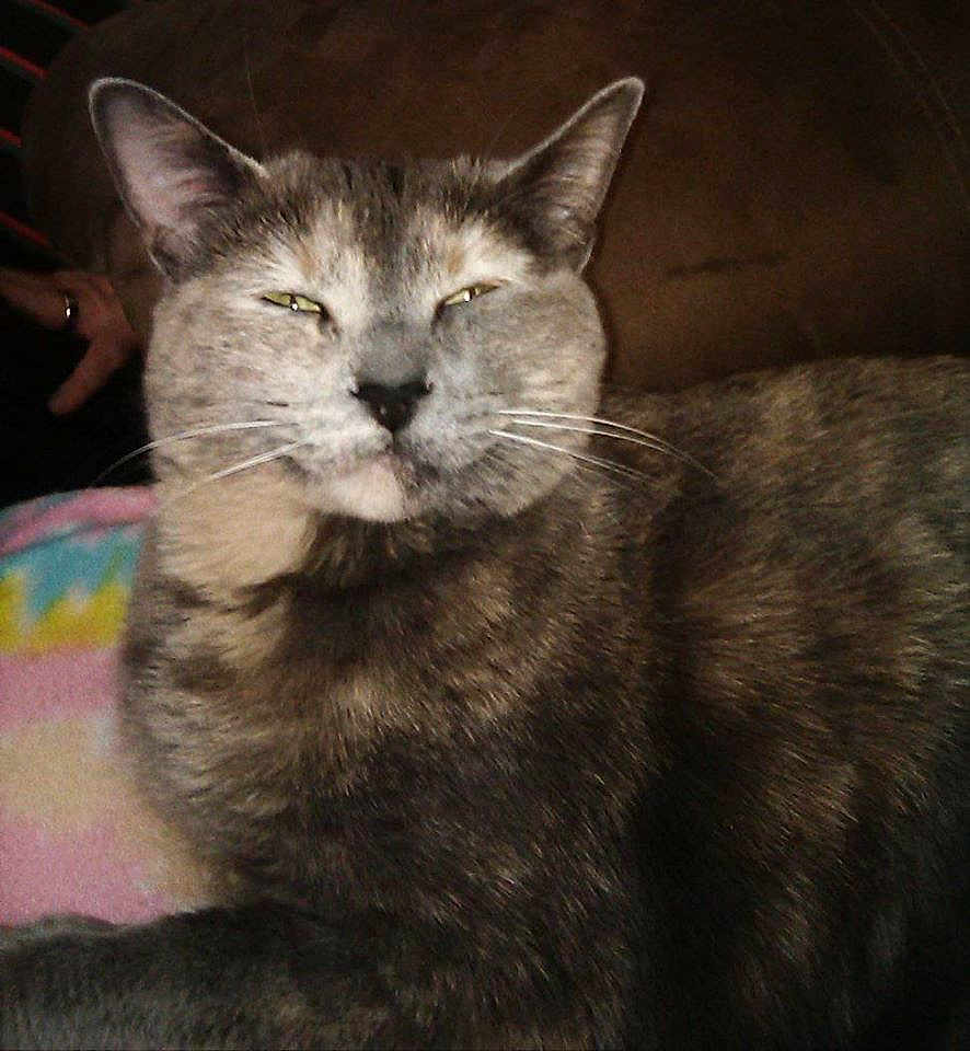 Zoey