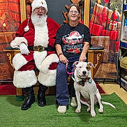 Busterbuck joined the competition — help win amazing prizes! beard, bow_tie, carpet, christmas, decoration, dog, festive, gift, glasses, holiday, indoor, people, pet, plaid, red_clothing, santa_claus, smile, throne, white_fur, woman