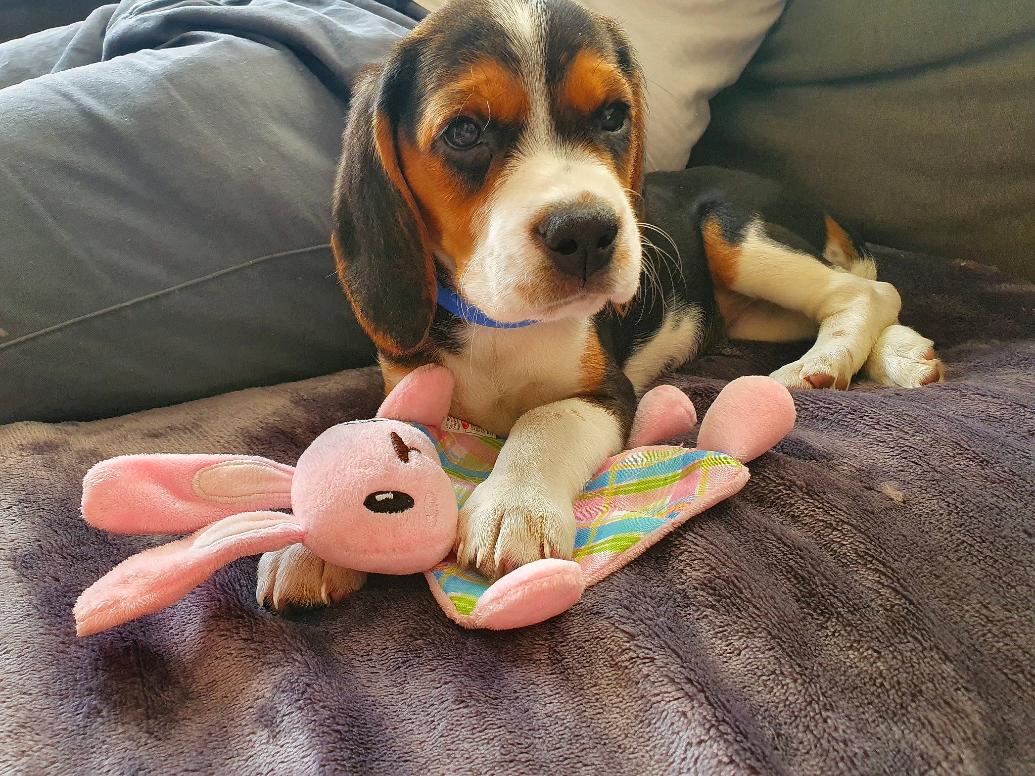 Ashley participe au concours pour gagner de l'argent avec cette photo :