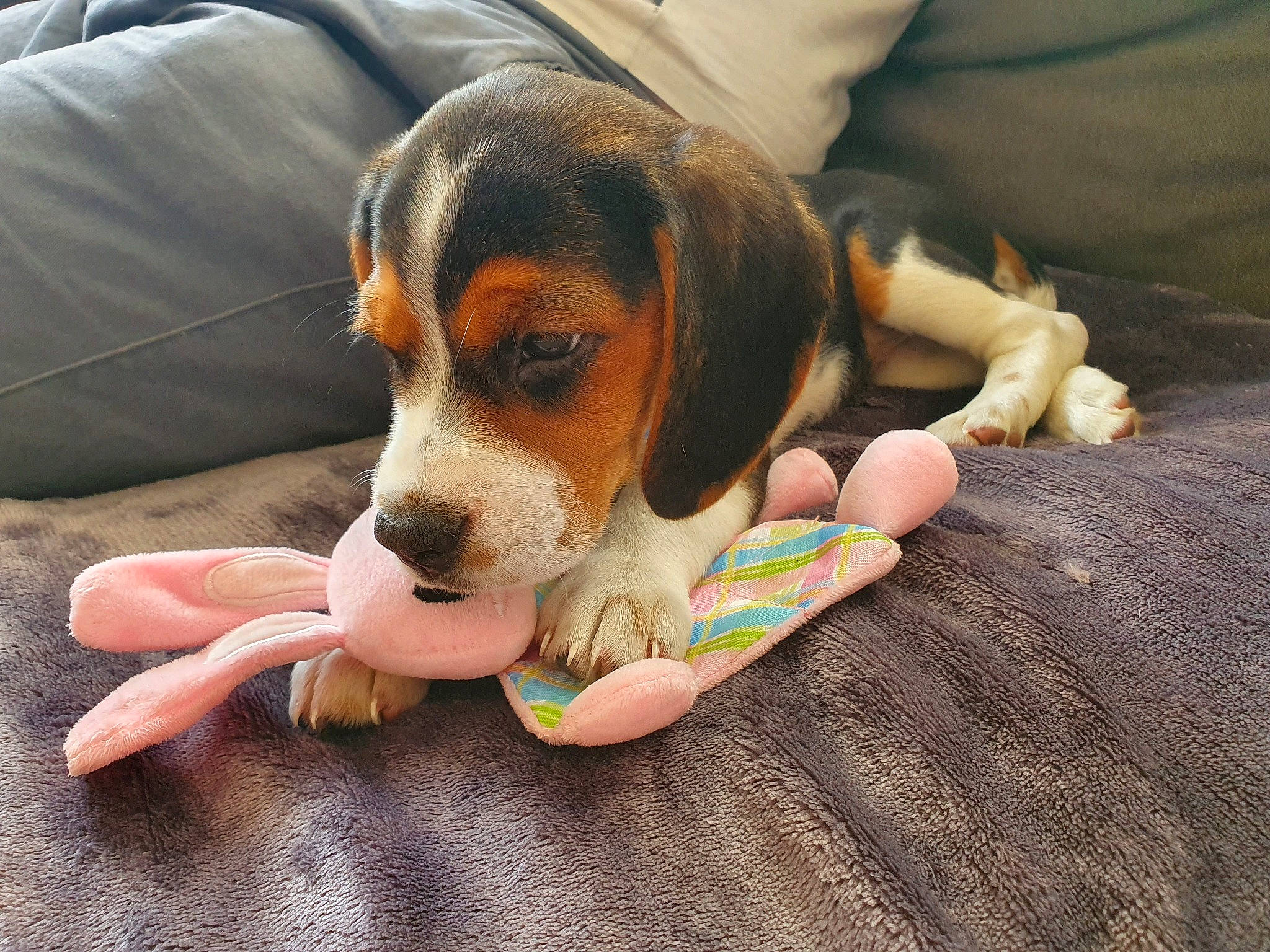 Ashley participe au concours pour gagner de l'argent avec cette photo :