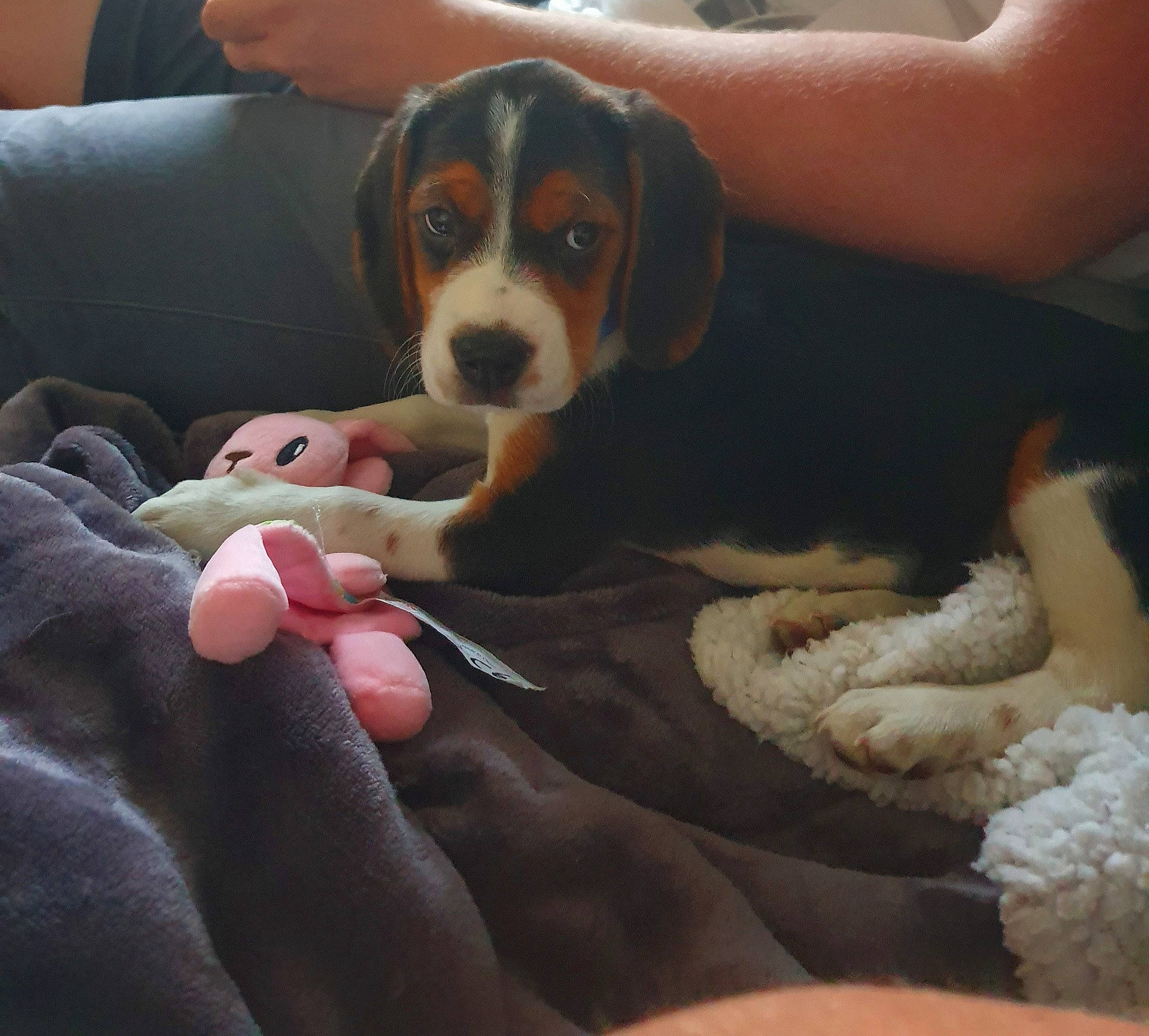 Ashley a rejoint le concours — aidez-le/la à gagner de superbes lots !