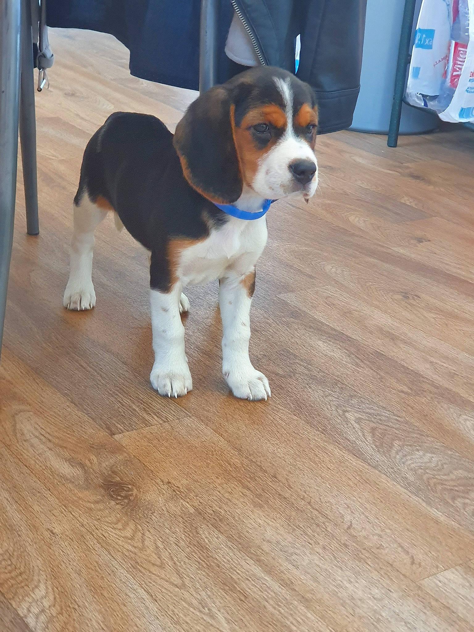 Ashley a rejoint le concours — aidez-le/la à gagner de superbes lots !