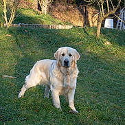 Vaillant a rejoint le concours — aidez-le/la à gagner de superbes lots !