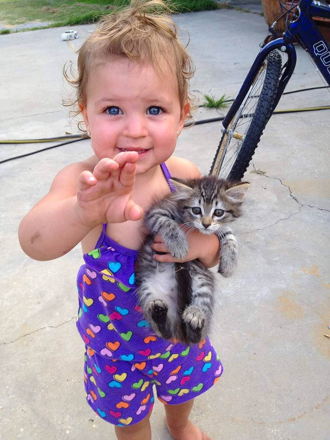 Briley is registered to the contest to win money with this photo: baby, bicycle_fork, bicycle_handlebar, bicycle_tire, carnivore, cat, child, fawn, felidae, finger, fun, gesture, grass, happy, person, recreation, summer, thumb, toddler, vertebrate