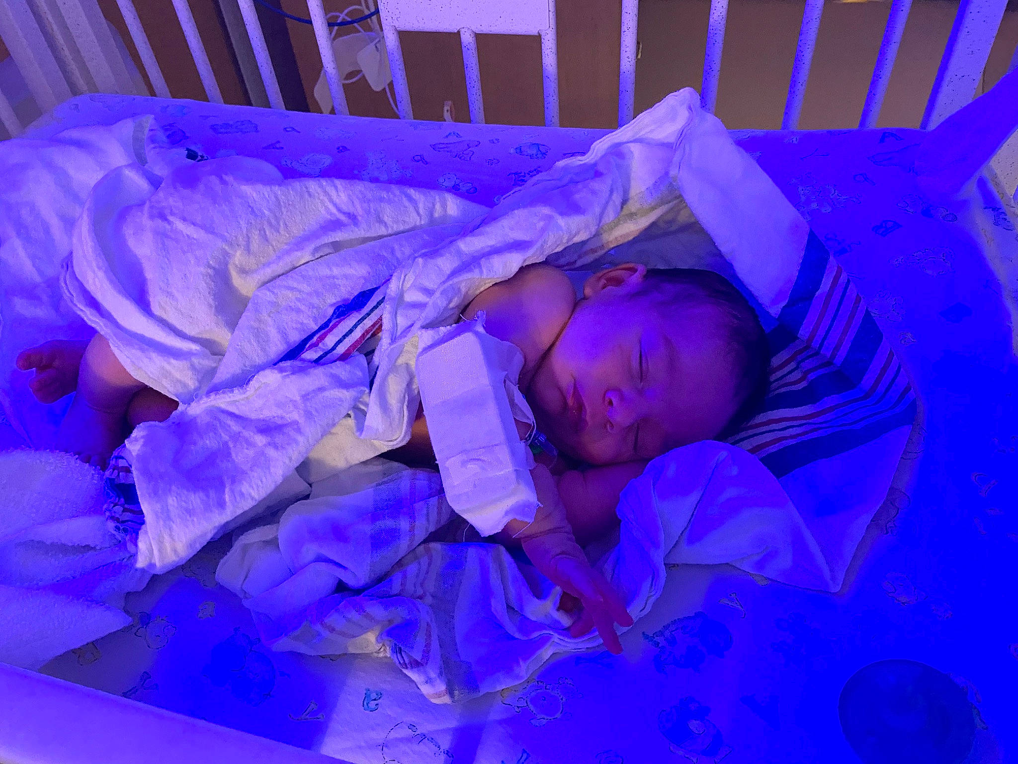 Kashton is registered to the contest to win money with this photo: blue, electric_blue, entertainment, event, fun, magenta, performance, performing_arts, person, plant, purple, room, violet, water