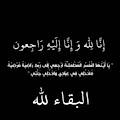 Habiba H.