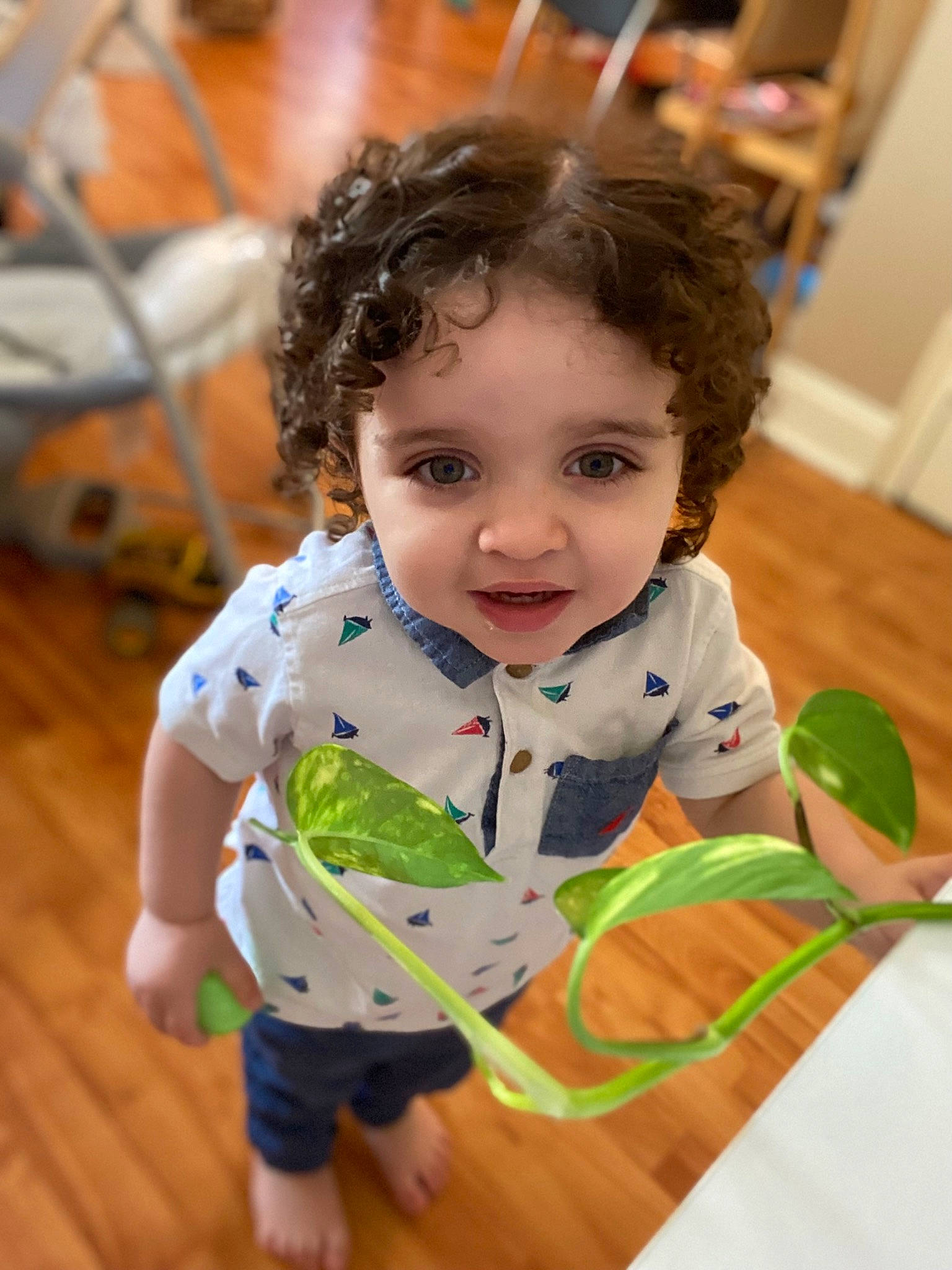 Odin joined the competition — help win amazing prizes! baby, baby_toddler_clothing, chair, cheek, child, face, flooring, fun, happy, hardwood, joy, leisure, person, play, room, sitting, skin, sleeve, smile, toddler