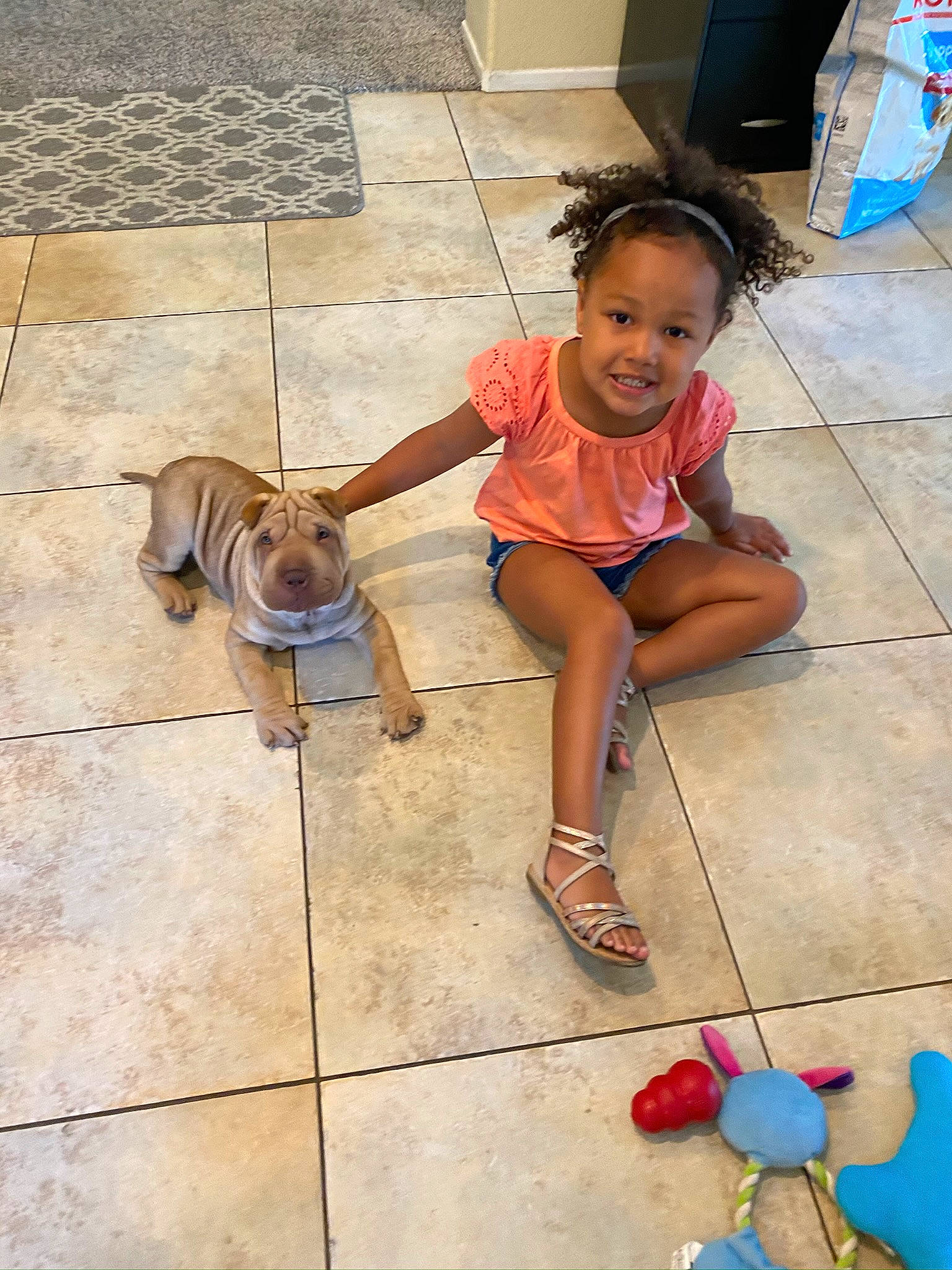Isla joined the competition — help win amazing prizes! blue, carnivore, child, companion_dog, dog, floor, flooring, fun, happy, human_leg, joy, leg, leisure, person, sandal, shorts, sidewalk, smile, sneakers, thigh