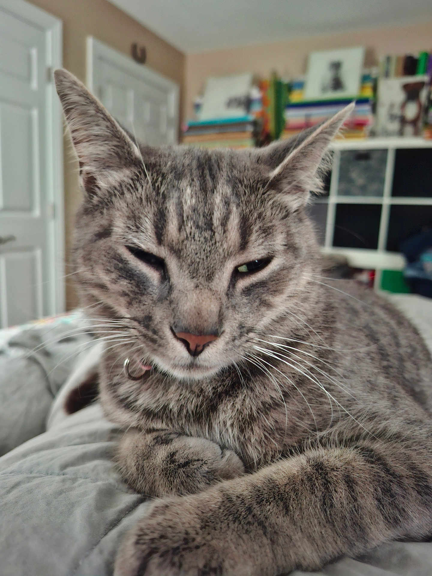 Ollie