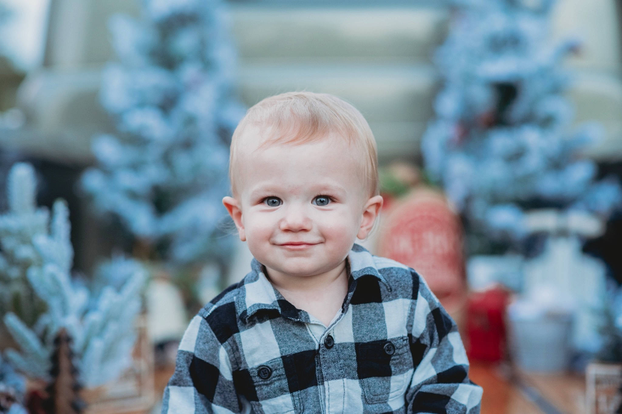 Christopher joined the competition — help win amazing prizes! child, eye, flash_photography, fun, hair, hairstyle, happy, head, iris, joy, outerwear, pattern, people, people_in_nature, person, plaid, plant, sleeve, smile, tartan