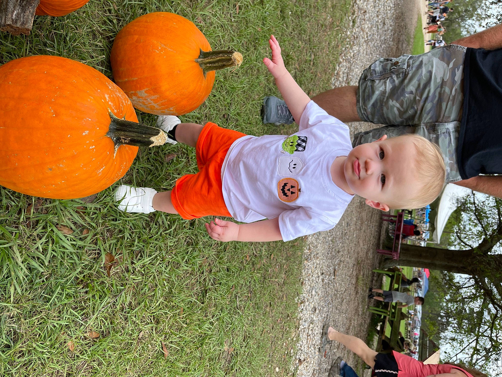 Christopher joined the competition — help win amazing prizes! calabaza, cucurbita, fruit, gourd, grass, green, happy, leaf, leisure, natural_foods, orange, people_in_nature, person, plant, pumpkin, squash, t_shirt, toddler, tree, vegetable