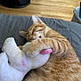 cat, orange_tabby, sleeping, stuffed_animal, hugging, bed, blanket, indoor, feline, pet, cozy, cute, fur, whiskers, pink, toy, relaxed, nap, domestic_animal, comfort