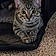 Tabby