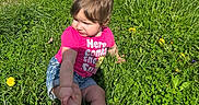 Rosealine joined the competition — help win amazing prizes! baby, casual_clothing, child, curious, dandelion, daylight, denim_shorts, grass, greenery, nature, outdoor, person, pink_shirt, playtime, sidewalk, sitting, summer, sunny, toddler, white_shoes