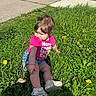 baby, casual_clothing, child, curious, dandelion, daylight, denim_shorts, grass, greenery, nature, outdoor, person, pink_shirt, playtime, sidewalk, sitting, summer, sunny, toddler, white_shoes
