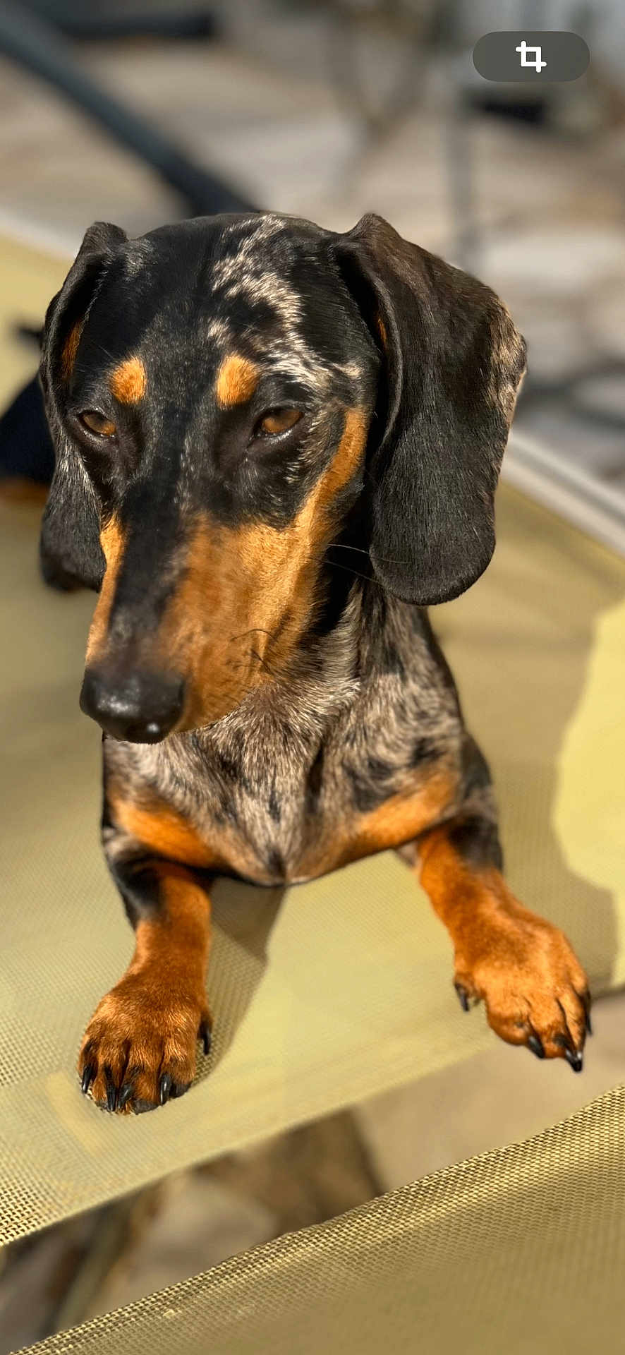 Vera
