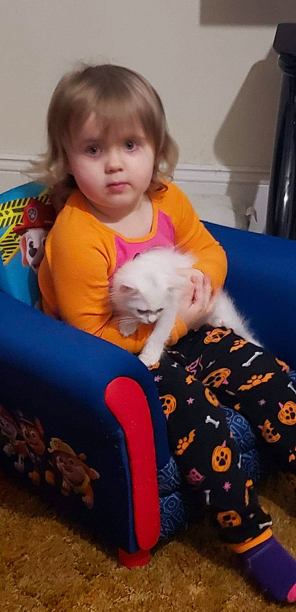 Rylee is registered to the contest to win money with this photo: child, person, play, toddler