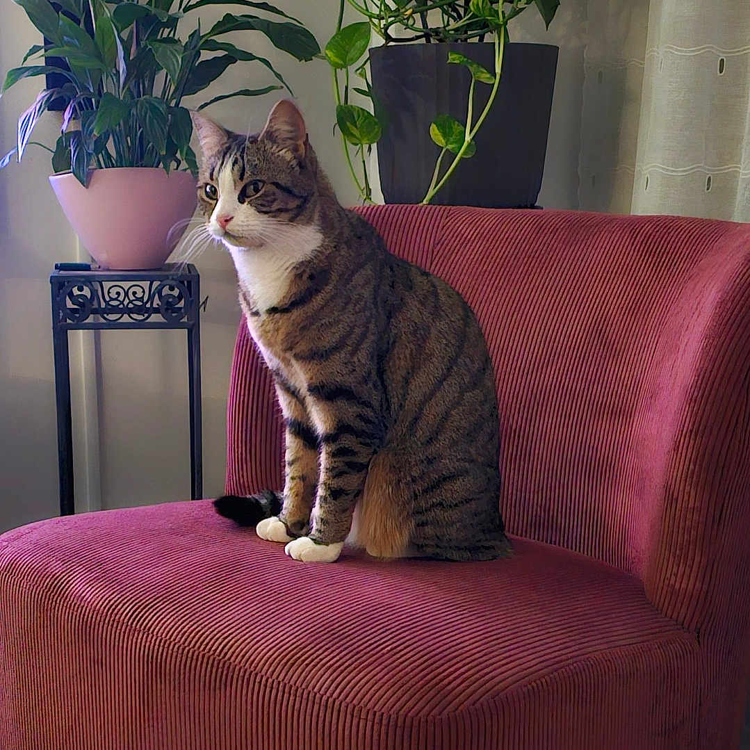 Luna