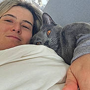 Upso participe au concours pour gagner de l'argent avec cette photo : person, cat, gray_cat, pet, bed, blanket, pillow, close_up, face, eyes, whiskers, sweater, hand, couch, lying_down, indoor, relaxed, companionship, orange_eyes, cozy