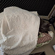 Upso a rejoint le concours — aidez-le/la à gagner de superbes lots ! cat, blanket, sleeping, quilt, paw_prints, desk, indoor, gray_cat, cozy, pet, resting, soft_texture, quiet, comfort, soundproofing, office, furniture, nap, animal, peaceful