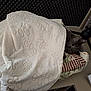 cat, blanket, sleeping, quilt, paw_prints, desk, indoor, gray_cat, cozy, pet, resting, soft_texture, quiet, comfort, soundproofing, office, furniture, nap, animal, peaceful