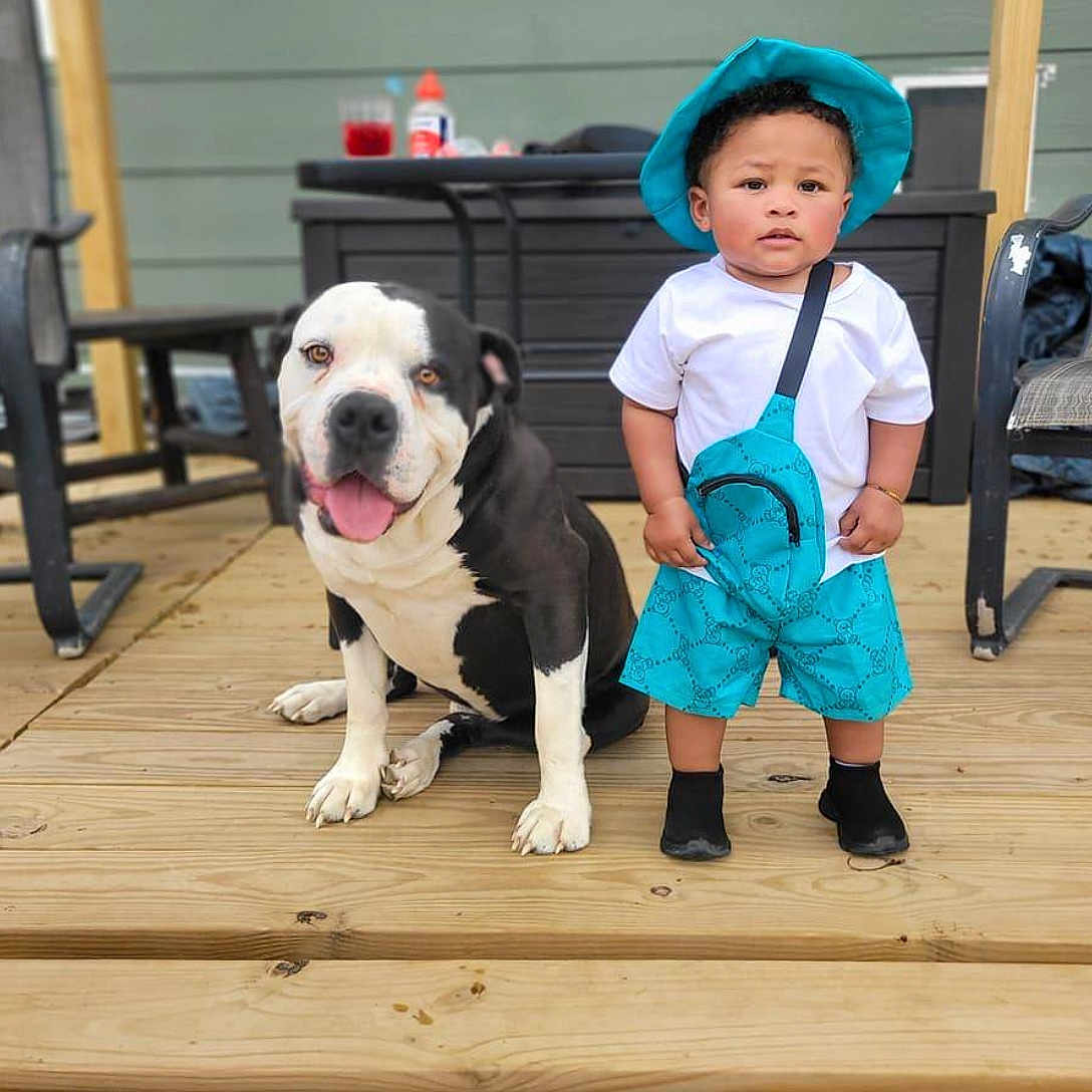 Isaac joined the competition — help win amazing prizes! animal, boy, canine, child, clothing, costume, dog, face, hat, head, male, pants, person, pet, photography, plant, portrait, pottedplant, shorts, wood