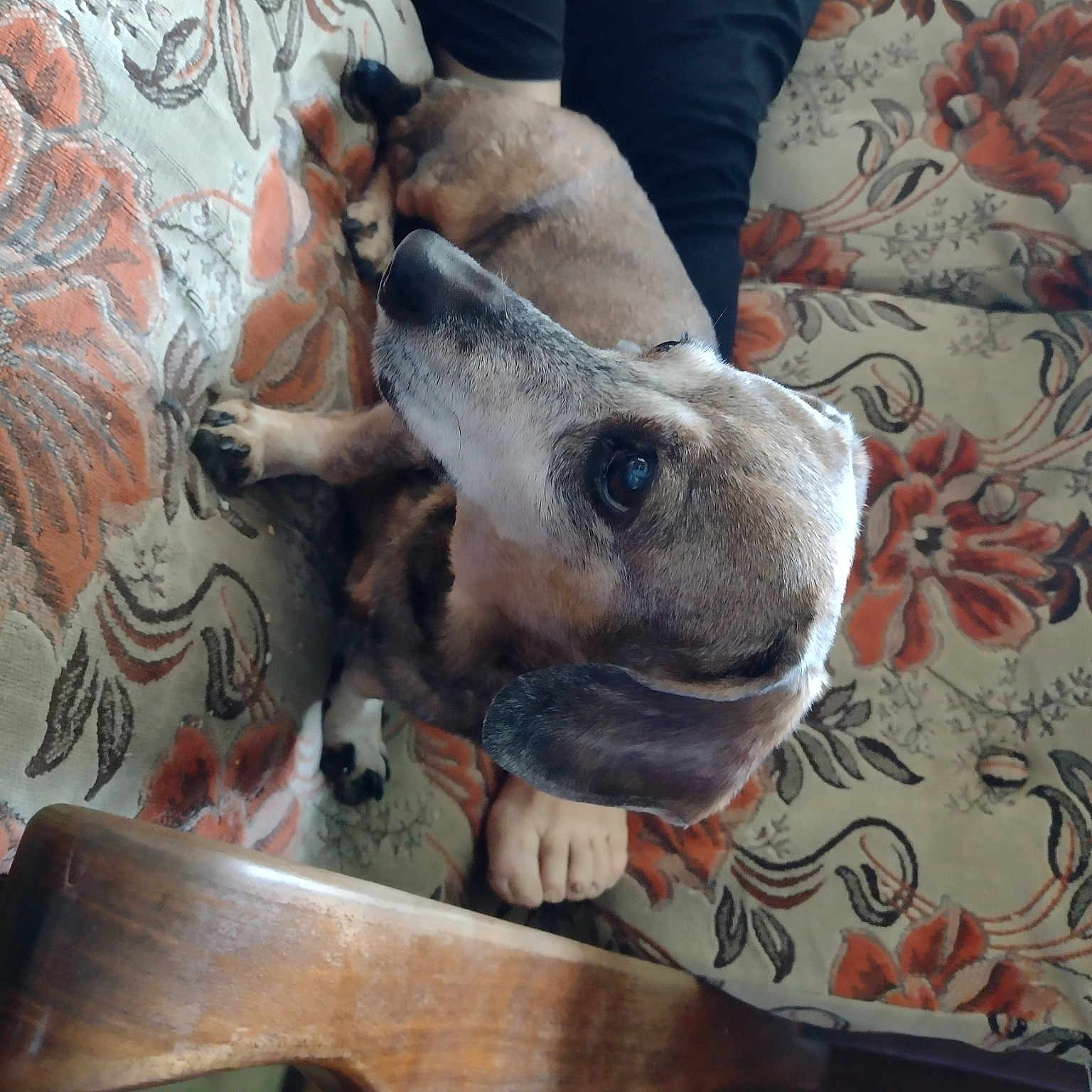 Zoe