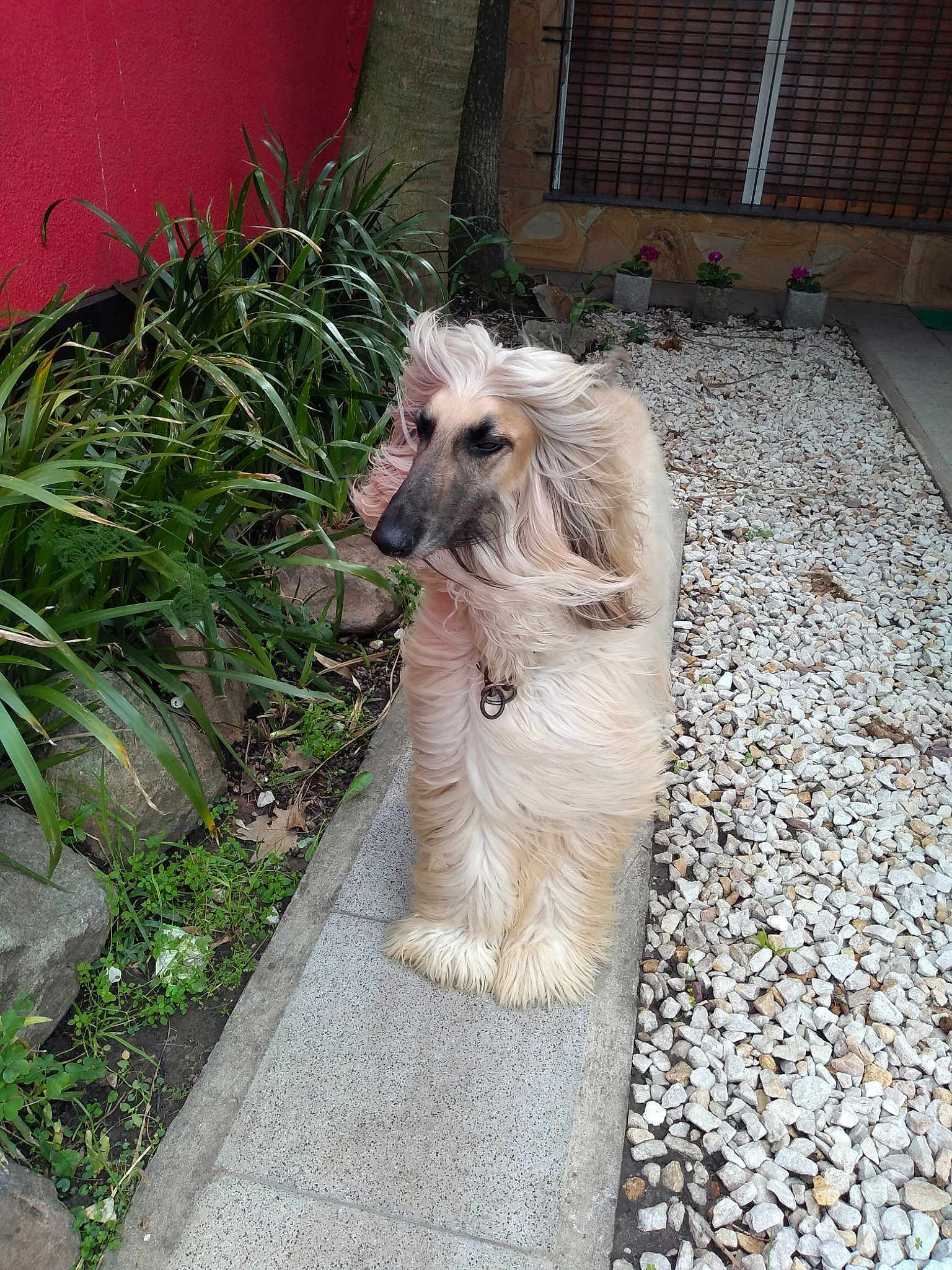 Romeo