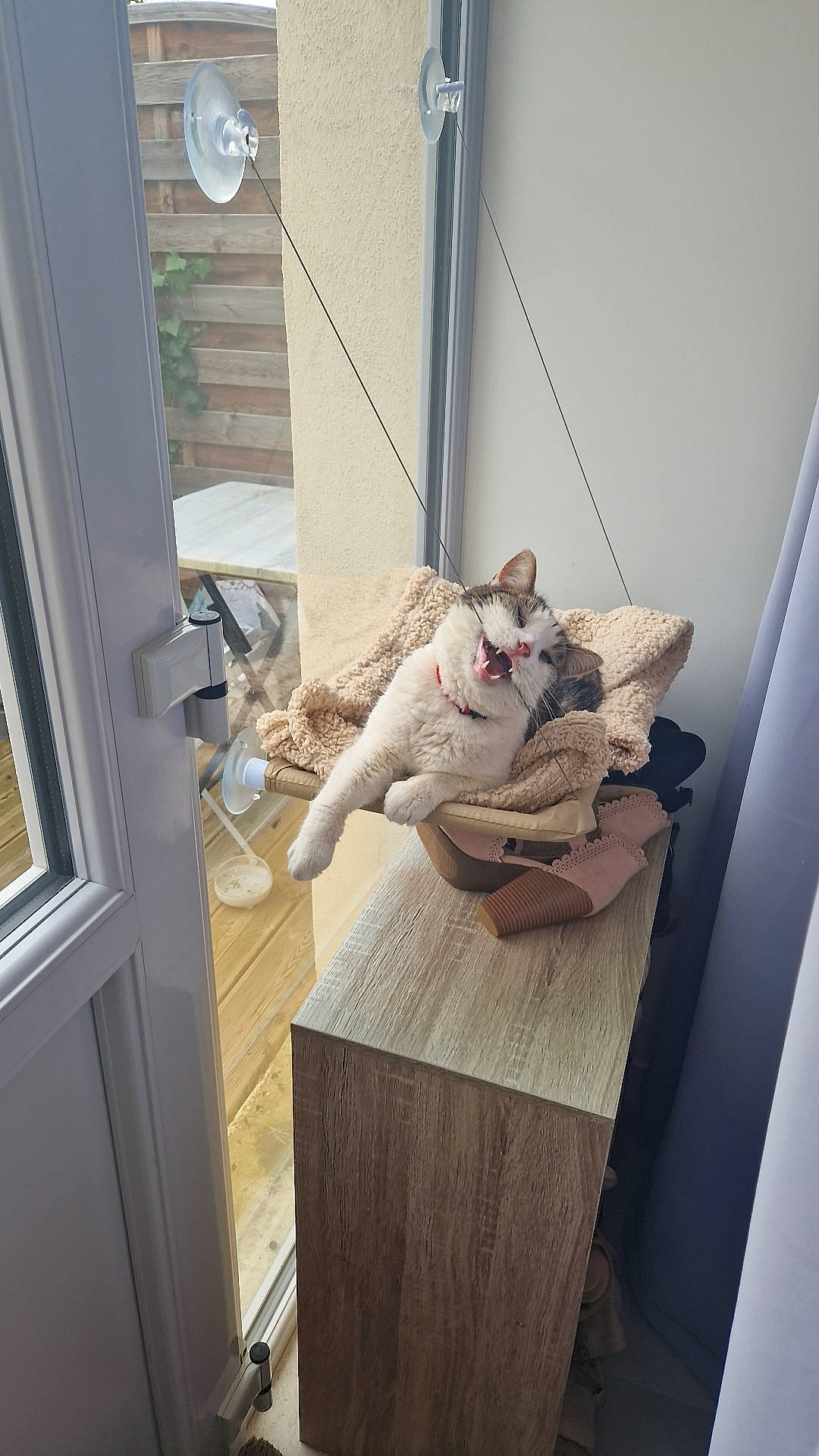 Tico participe au concours pour gagner de l'argent avec cette photo : chair, comfort, daylighting, door, felidae, floor, flooring, hardwood, home_door, house, human_leg, interior_design, leg, room, sandal, sitting, toy, window, wood, wood_flooring