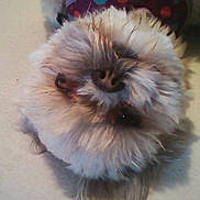 Baby is registered to the contest to win money with this photo: