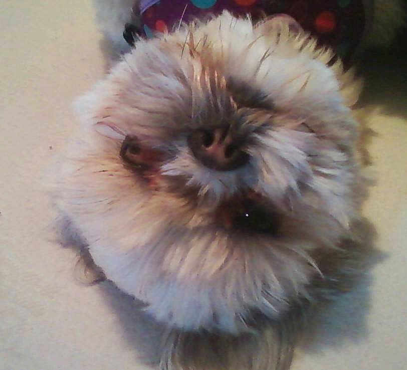 Baby