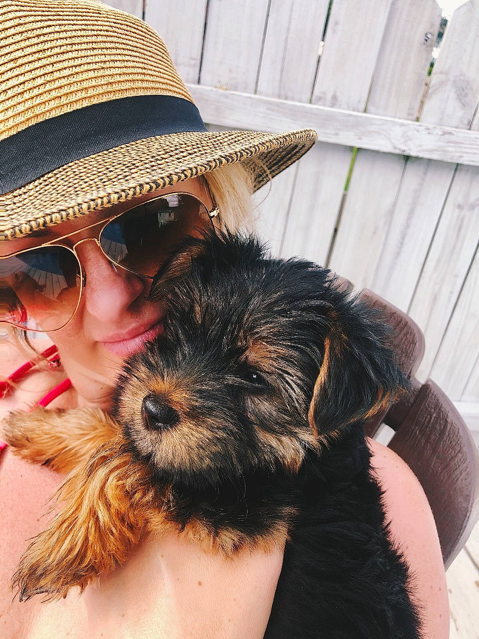 Bailey joined the competition — help win amazing prizes! affenpinscher, cairn_terrier, canidae, carnivore, companion_dog, dog, dog_breed, eyewear, fedora, fur, glasses, hat, headgear, morkie, puppy, puppy_love, schnoodle, sporting_group, sunglasses, terrier