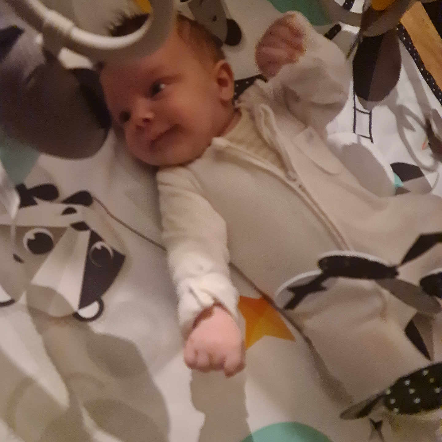 Antoni is registered to the contest to win money with this photo: animal_pattern, baby, baby_gym, child, colorful, curious, cute, fabric, face, hand, indoor, infant, lying_down, newborn, onesie, play_mat, playtime, small_fingers, soft_lighting, toy