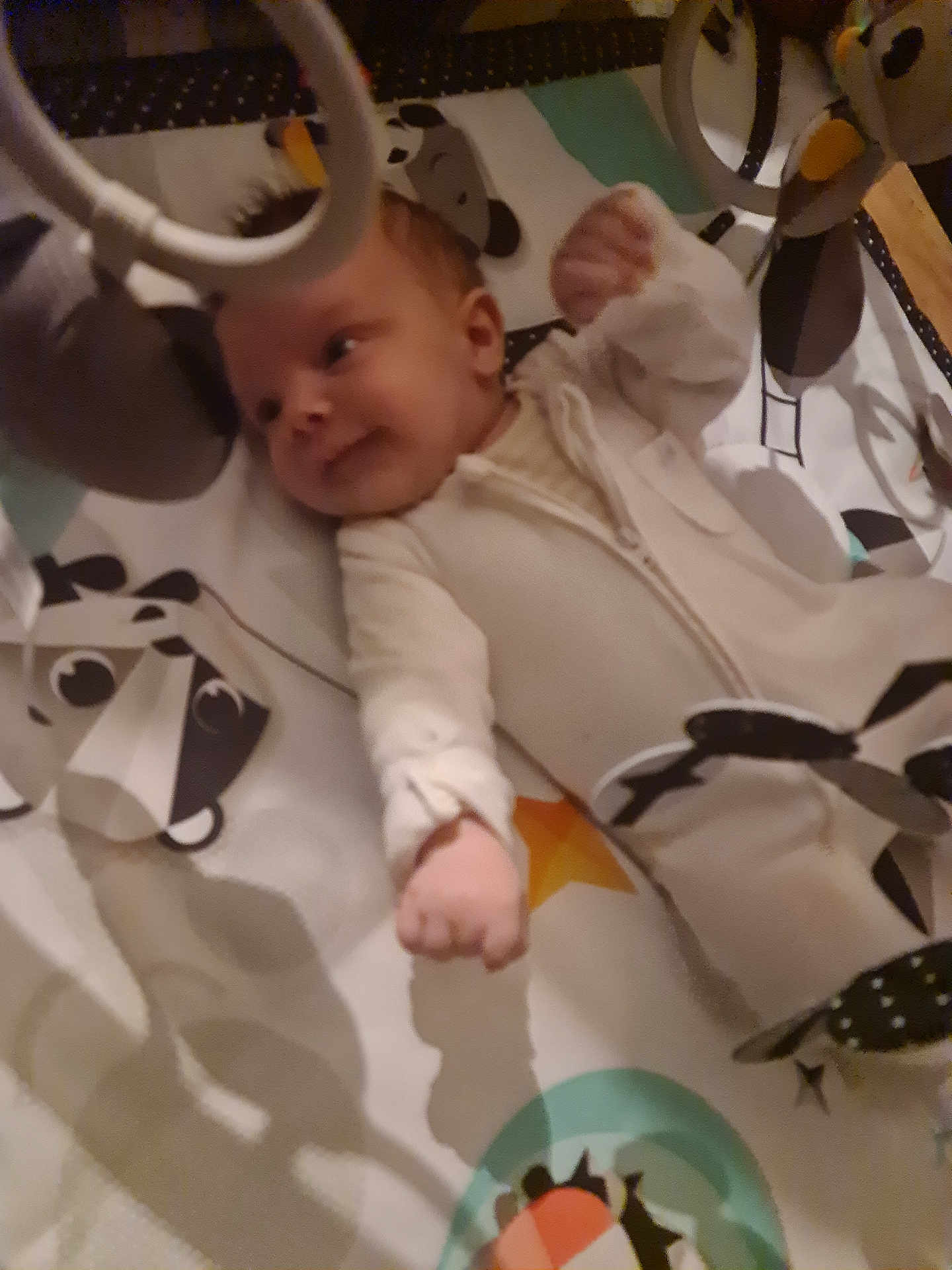 Antoni is registered to the contest to win money with this photo: animal_pattern, baby, baby_gym, child, colorful, curious, cute, fabric, face, hand, indoor, infant, lying_down, newborn, onesie, play_mat, playtime, small_fingers, soft_lighting, toy