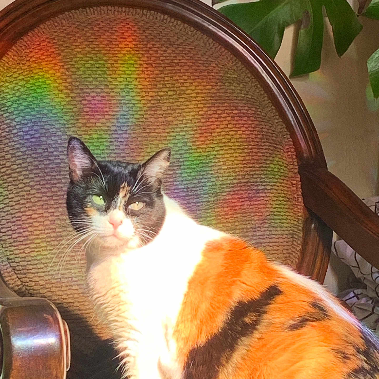 Artemis