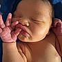 newborn, baby, sleeping, hand, fingers, face, skin, blanket, blue, infant, cute, peaceful, closeup, portrait, child, young, resting, soft, tiny, newborn_baby