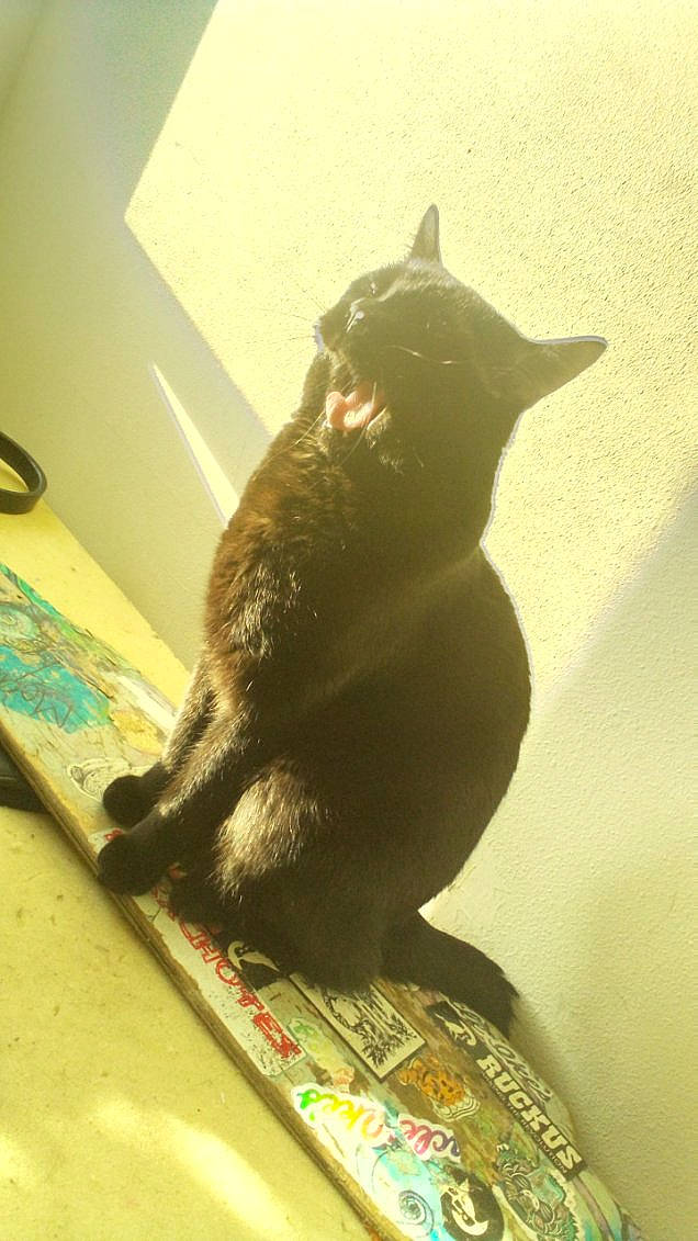 Bigbaby Warrior Martinez