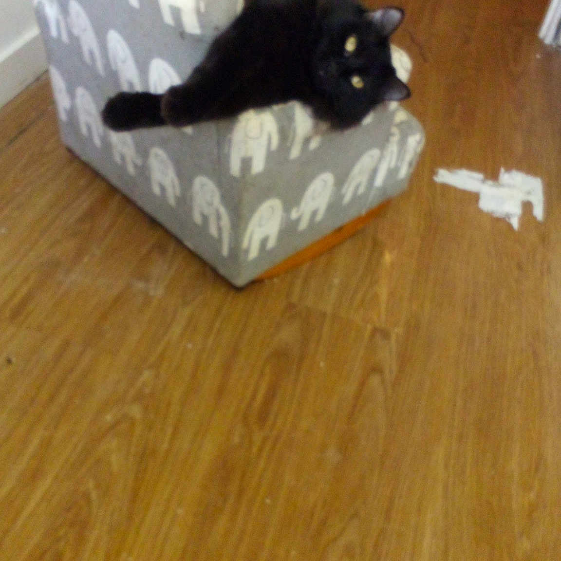 Loca Mocha Mystery Monster