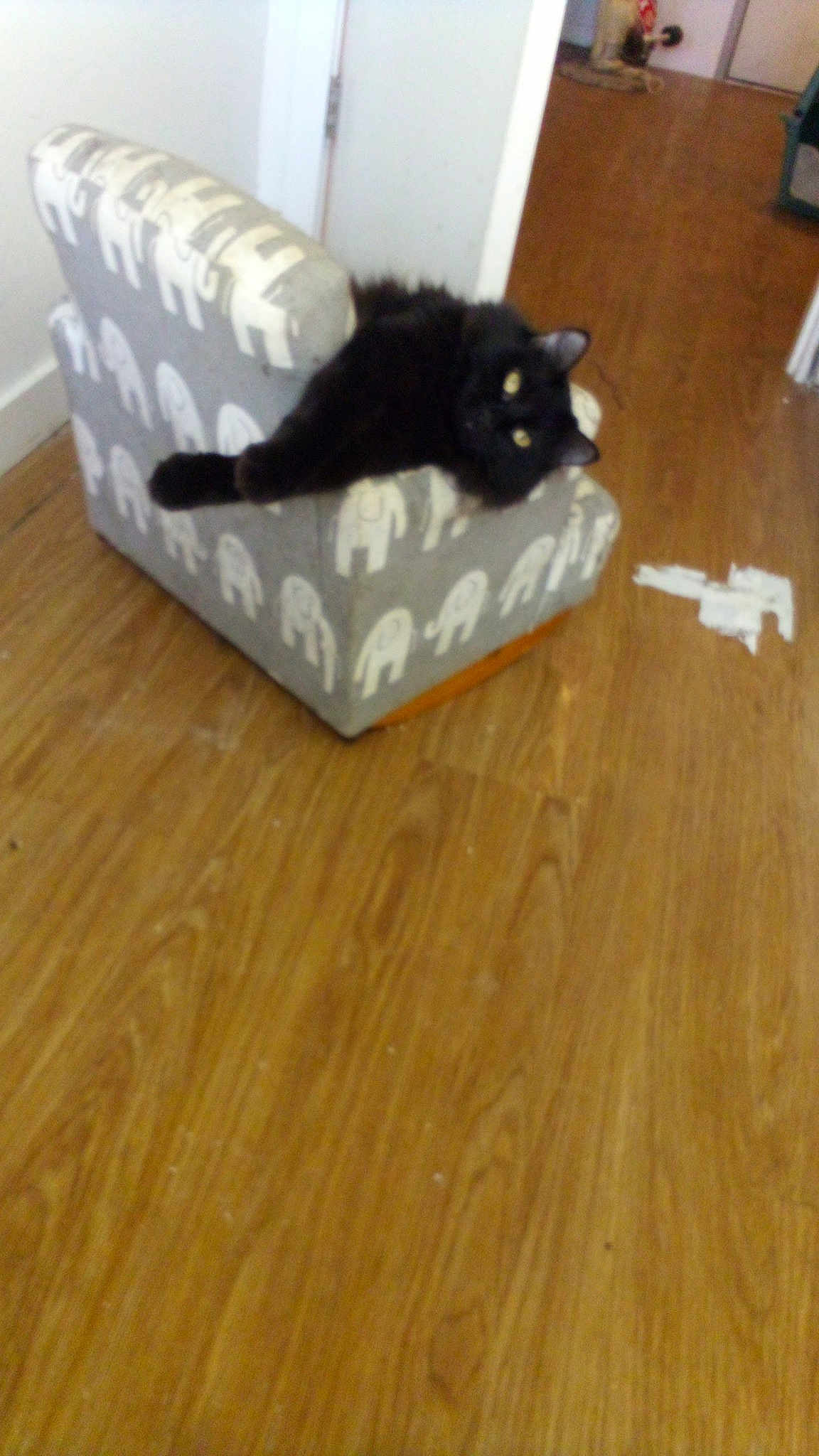 Loca Mocha Mystery Monster