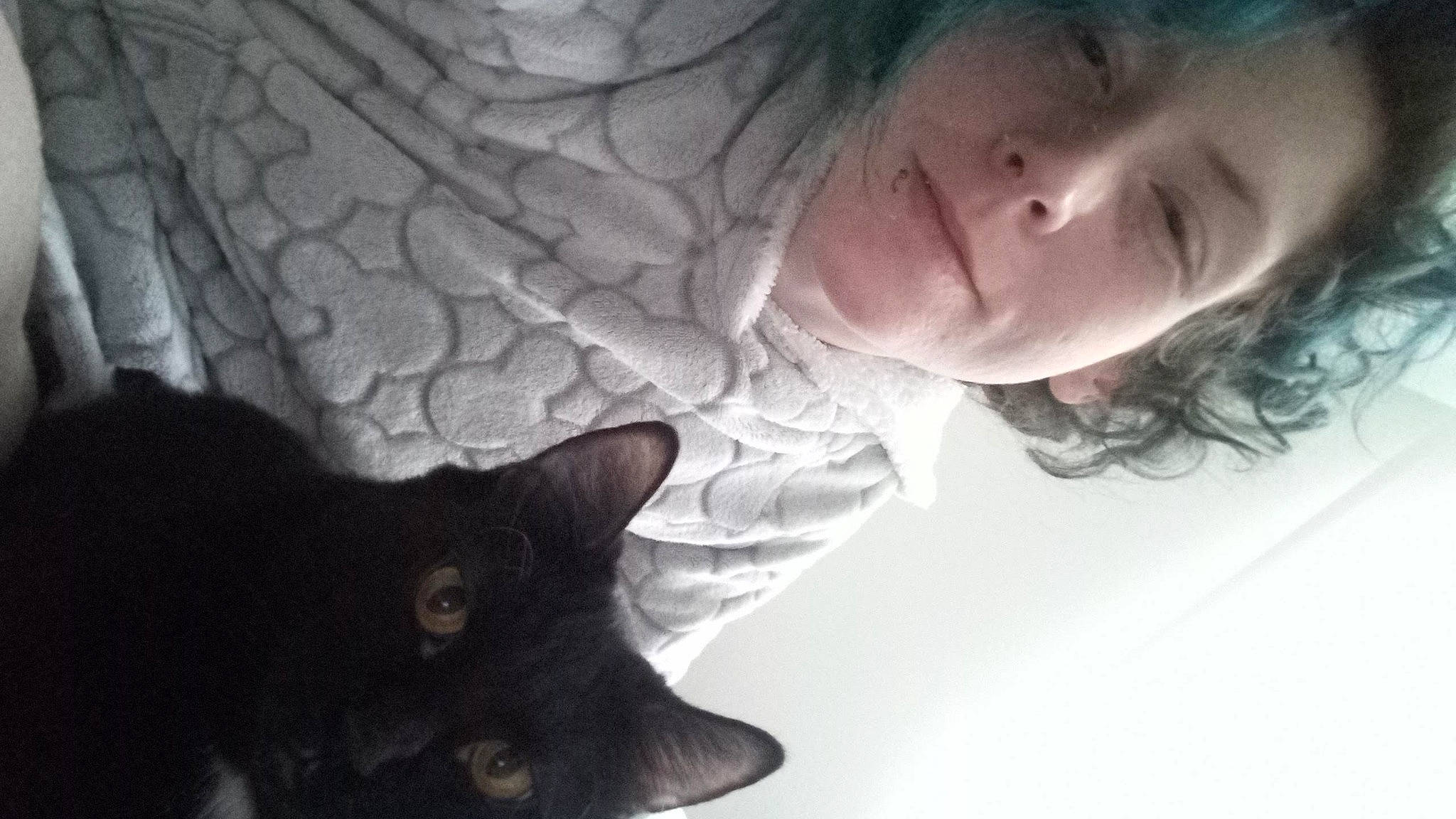 Rastah Lou Haze is registered to the contest to win money with this photo: black, carnivore, cat, comfort, ear, eye, facial_expression, felidae, gesture, head, human_body, mouth, neck, nose, organ, photograph, plant, skin, smile, sunglasses