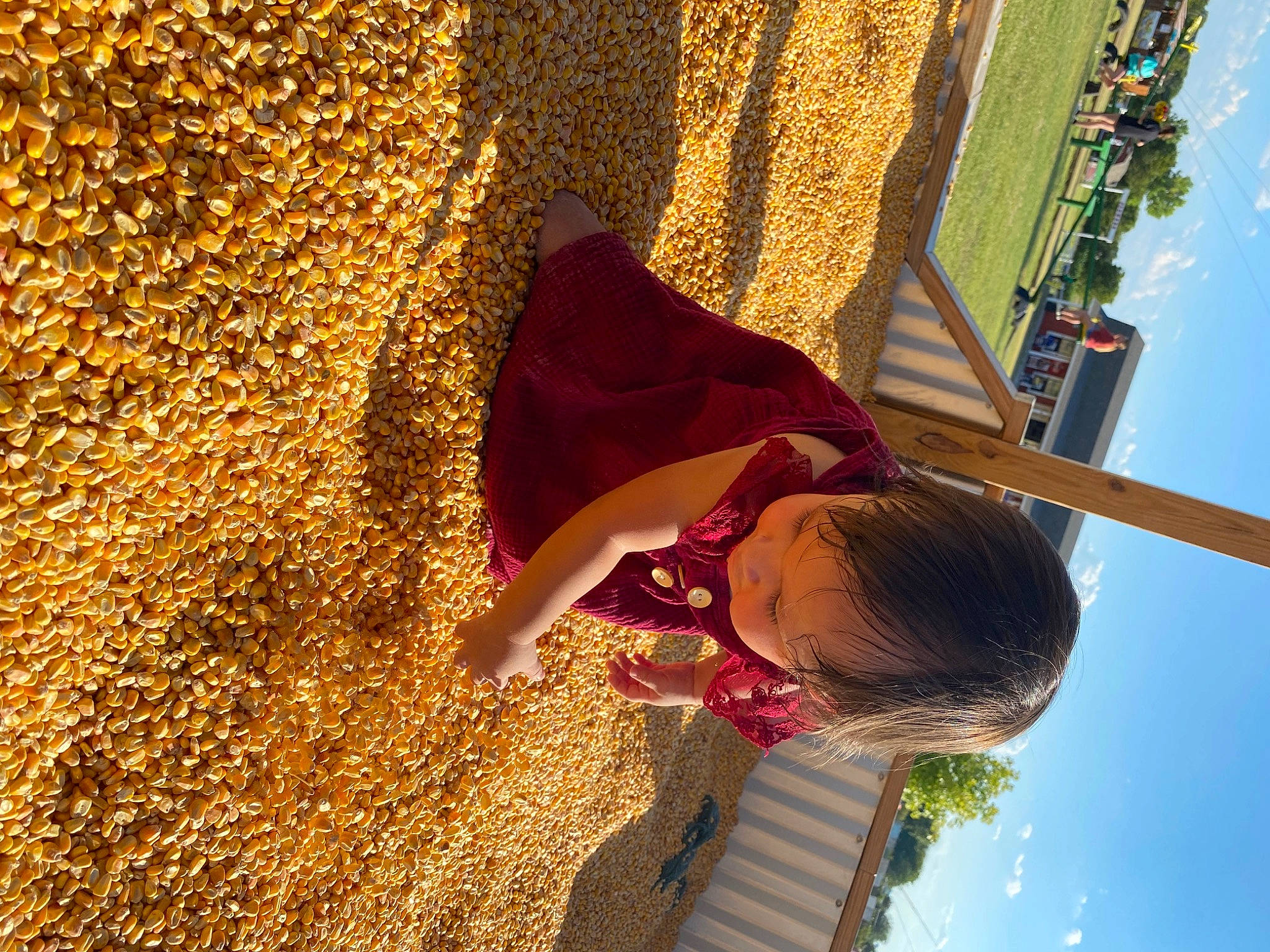 Marlenni is registered to the contest to win money with this photo: child, city, design, fun, happy, landscape, leaf, leisure, people_in_nature, person, reflection, shadow, sky, soil, sunlight, tints_and_shades, toddler, travel, tree, wall