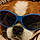 Toby