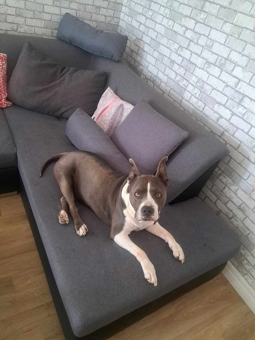 Bouba