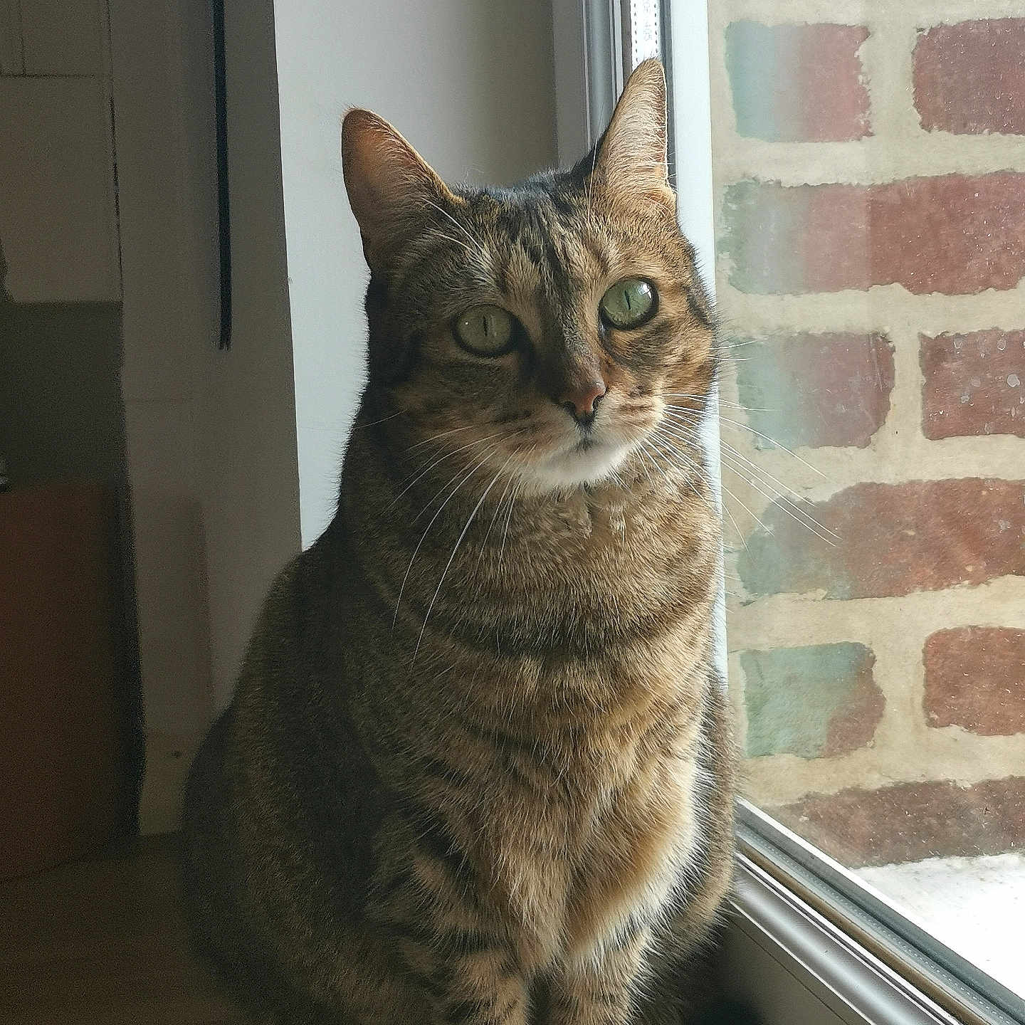 Tina