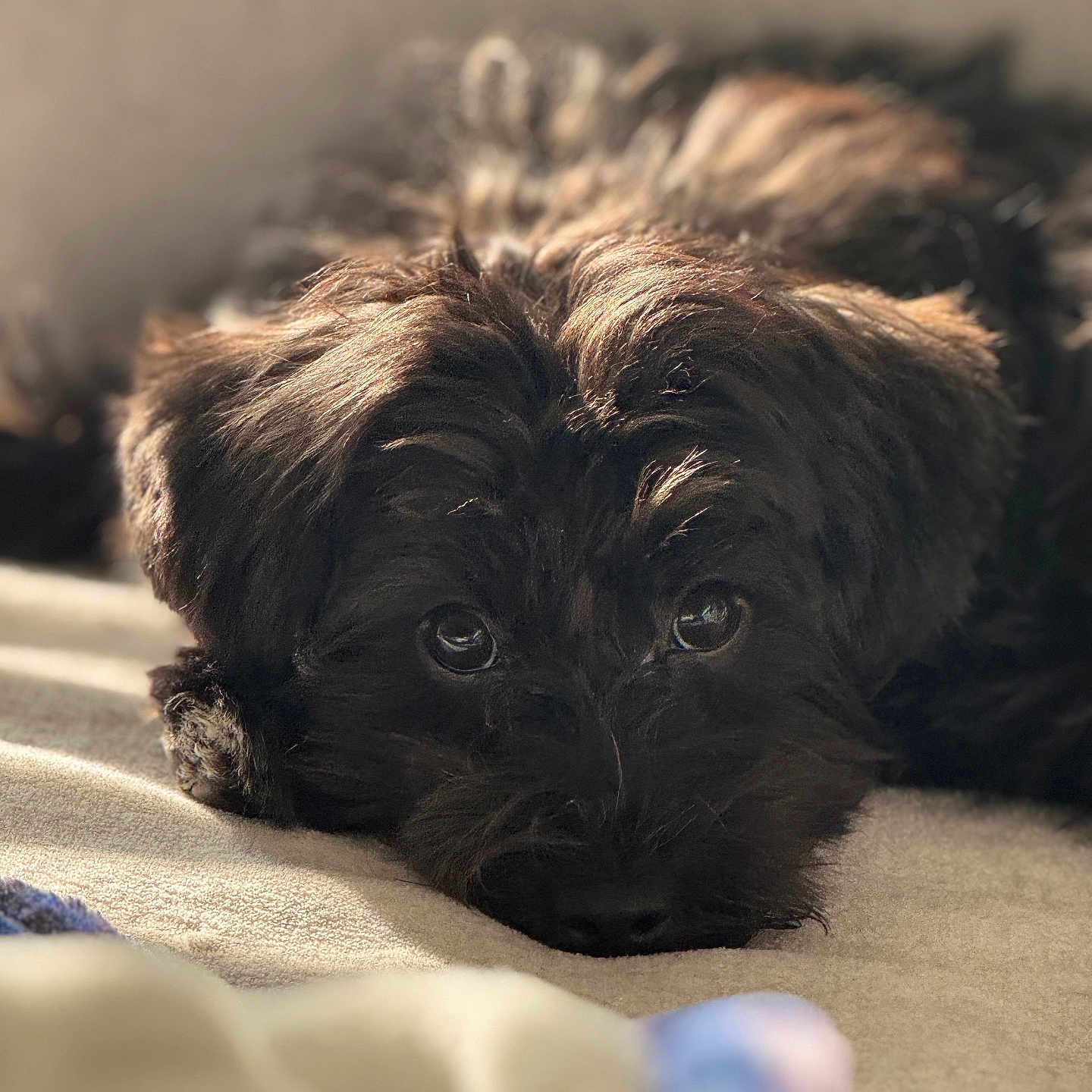 Charlie
