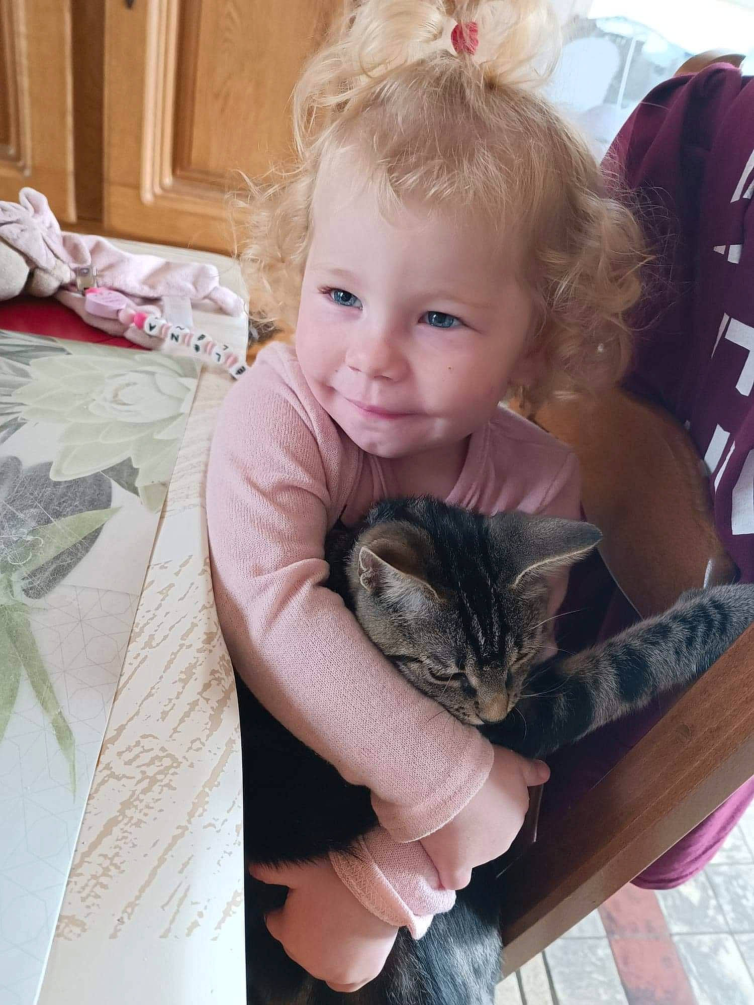 éléna a rejoint le concours — aidez-le/la à gagner de superbes lots ! baby_toddler_clothing, carnivore, cat, child, comfort, ear, eye, facial_expression, fawn, felidae, hair, hairstyle, iris, lap, long_hair, person, skin, small_to_medium_sized_cats, smile, toddler