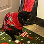cat, black_cat, sweater, argyle_pattern, indoor, holiday_rug, door, floor, tile_floor, wall, pet, animal, festive, christmas, red, gray, yellow_eyes, sitting, looking, knitwear
